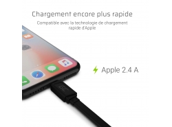 Câble Apple 2.4A
