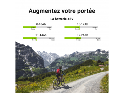 ION Batterie Vélo Electrique 48V 17.4Ah Li-Ion E-Bike Silverfish avec Chargeur 