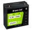 Green Cell CUBE LiFePO4 Batterie 20Ah 12.8V 256Wh LFP Batterie au lithium 12V pour Tracteur, Tondeuse à gazon, Éoliennes